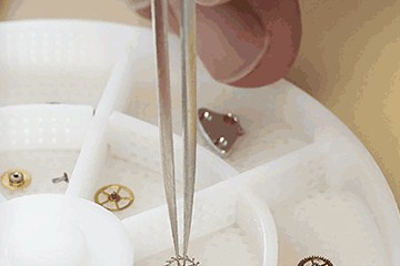 劳力士表苏州售后位置